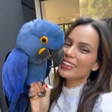 Ana Paula 🦜