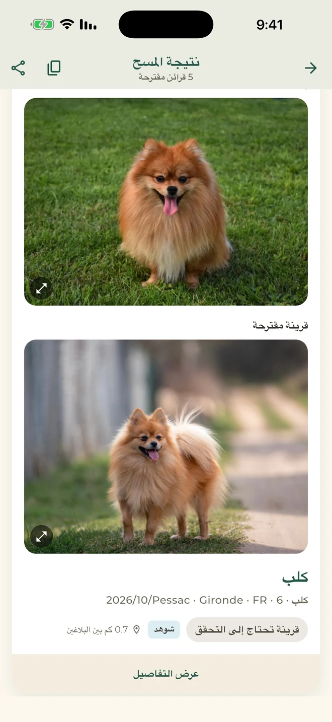 Pet Match: قرائن تحتاج إلى التحقق