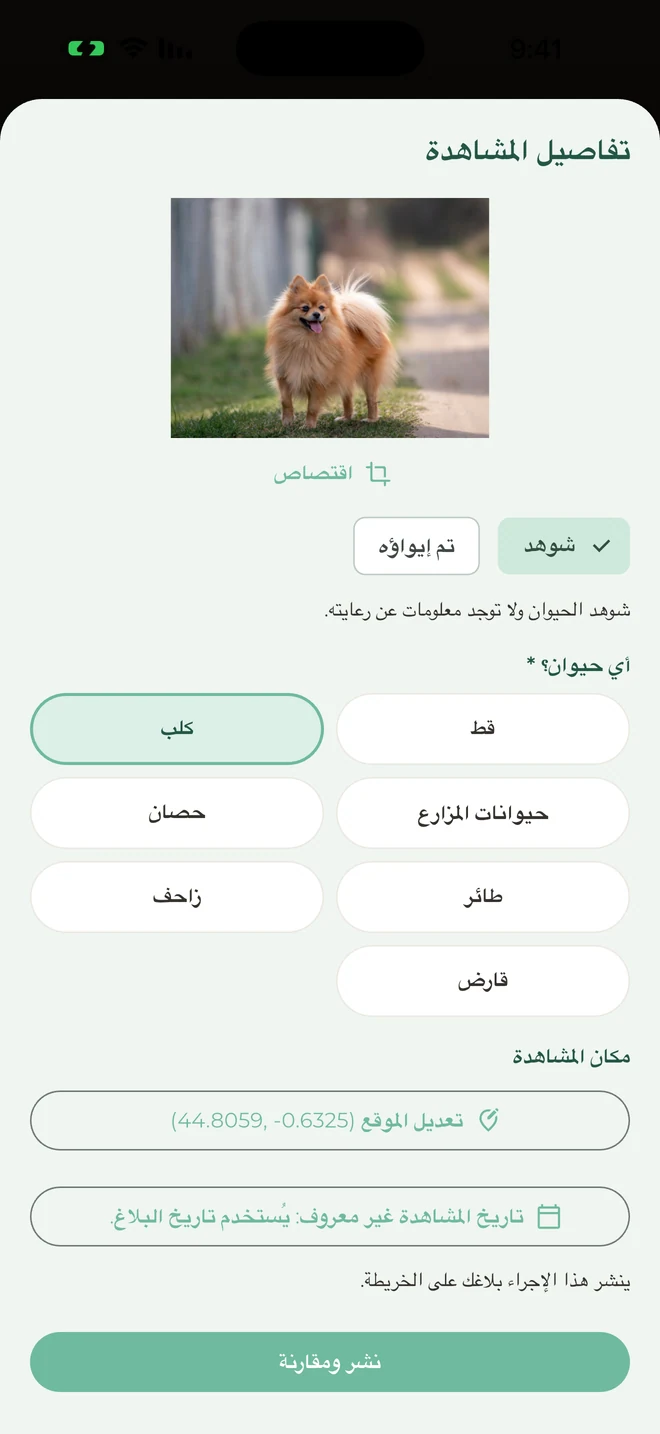 الإبلاغ عن مشاهدة حيوان