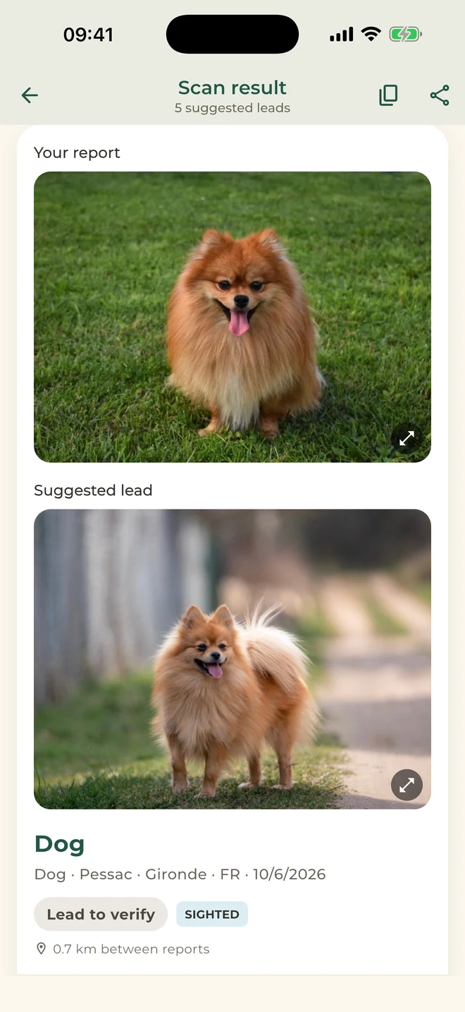 Pet Match: leads to verify