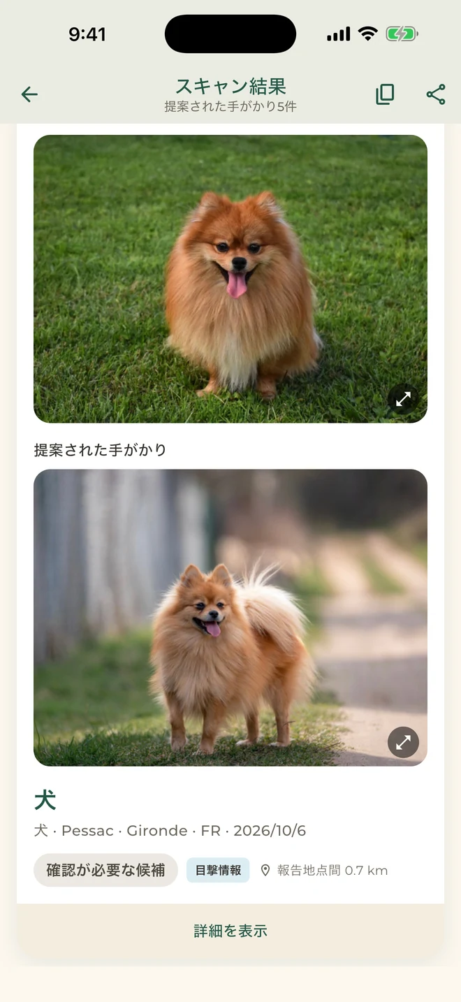 Pet Match：確認が必要な候補
