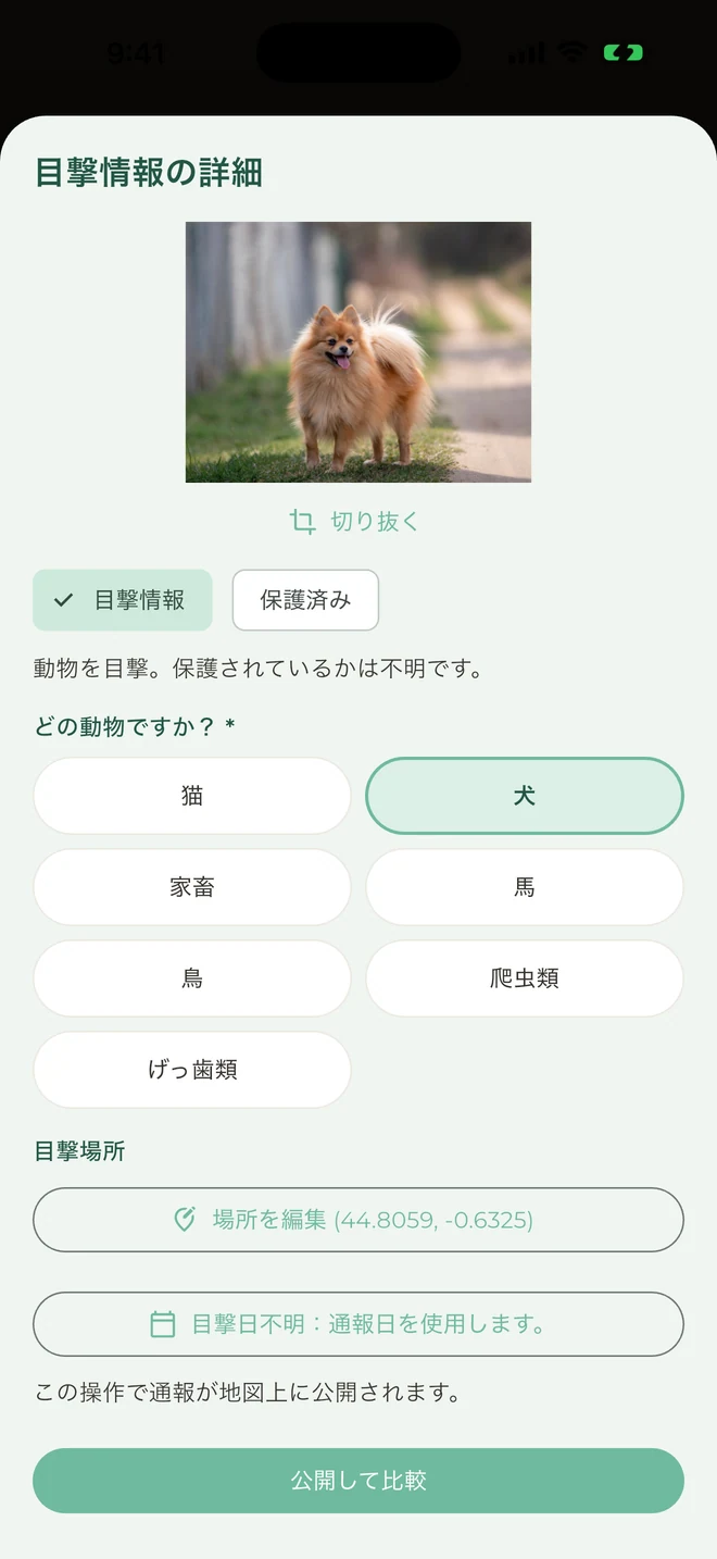 動物の目撃情報を投稿