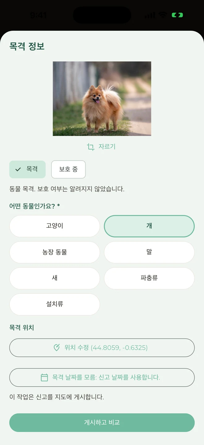 동물 목격 정보 알리기