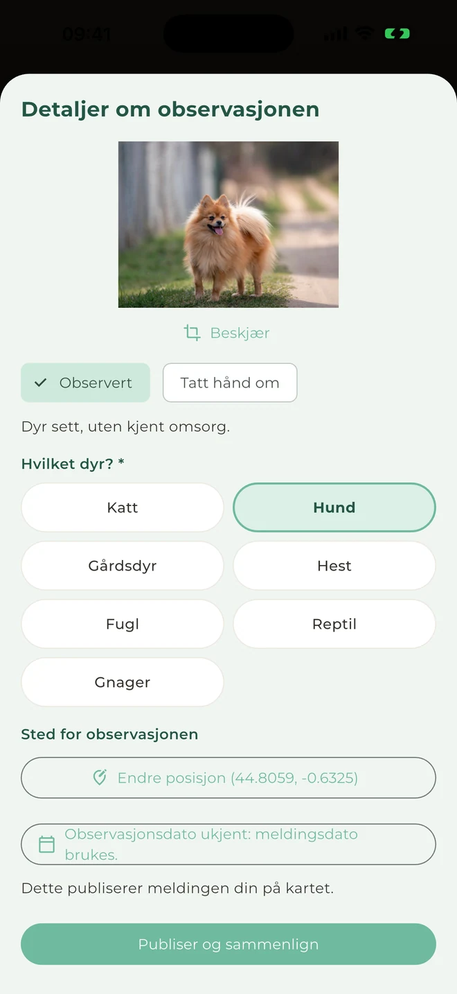 Meld fra om et observert dyr