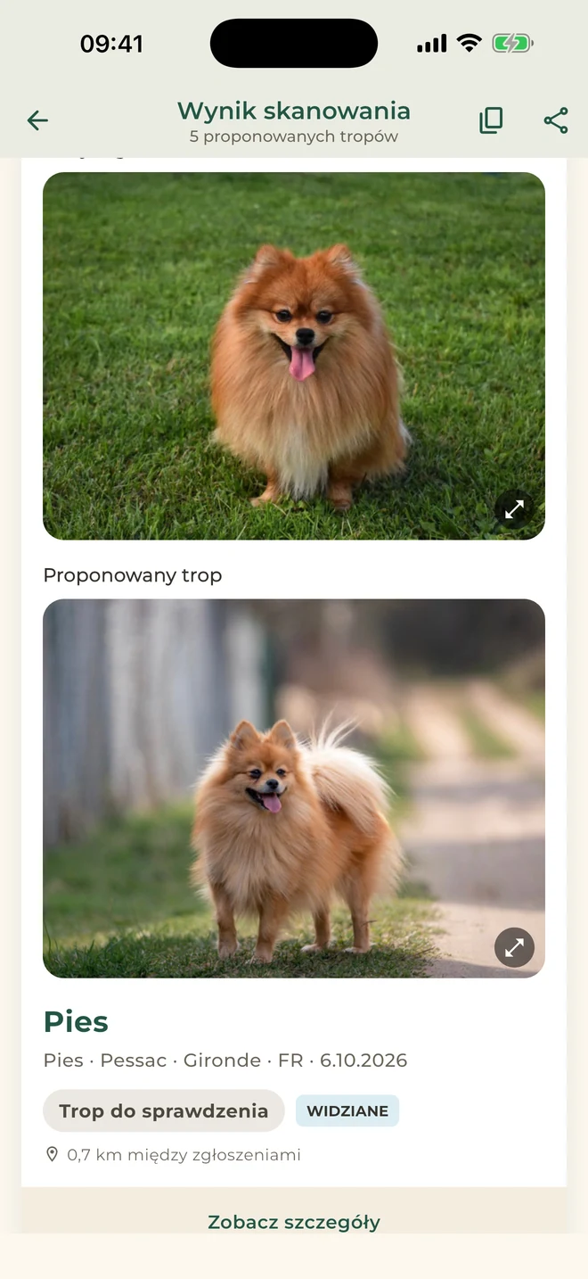 Pet Match: tropy do sprawdzenia