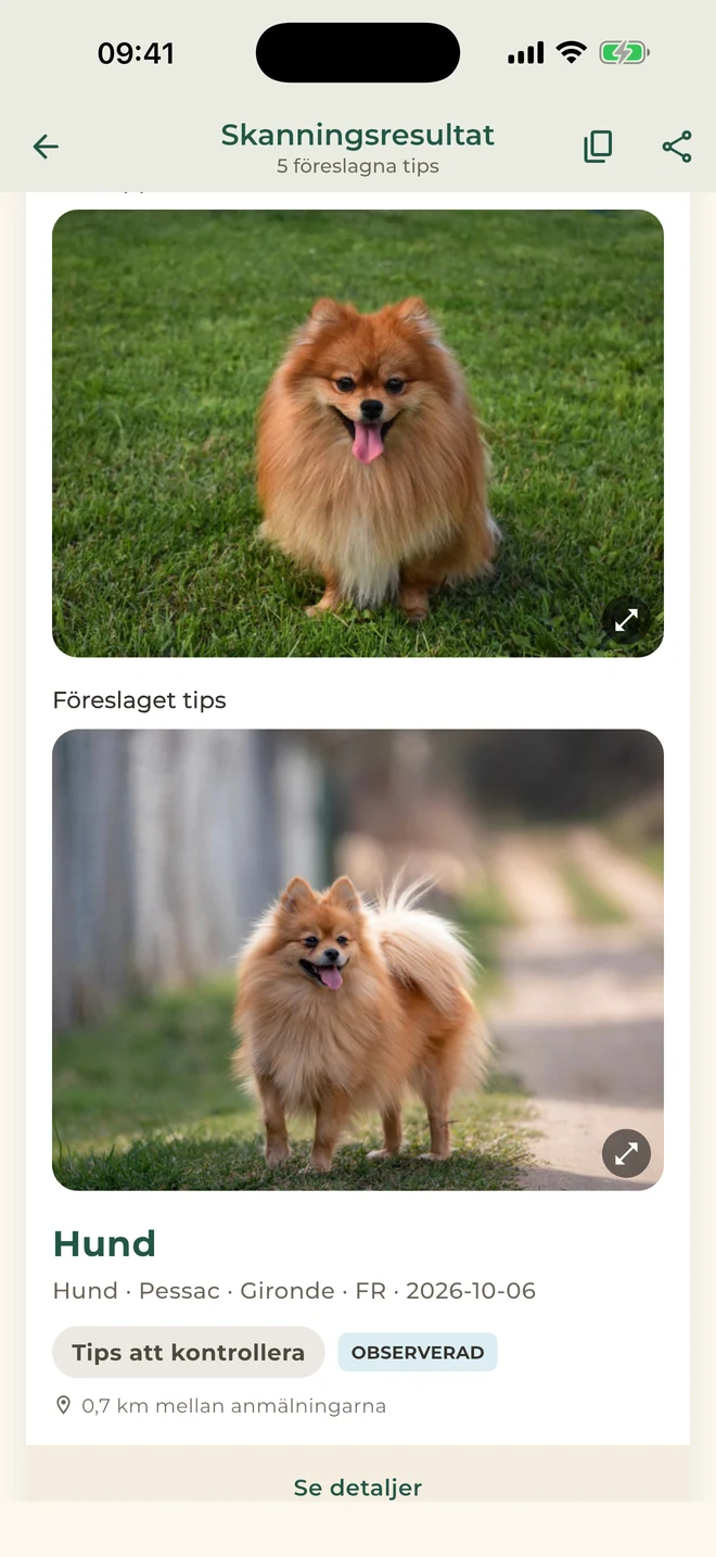 Pet Match: tips att kontrollera