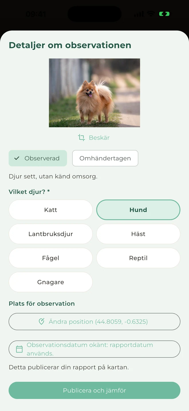 Rapportera ett sett djur