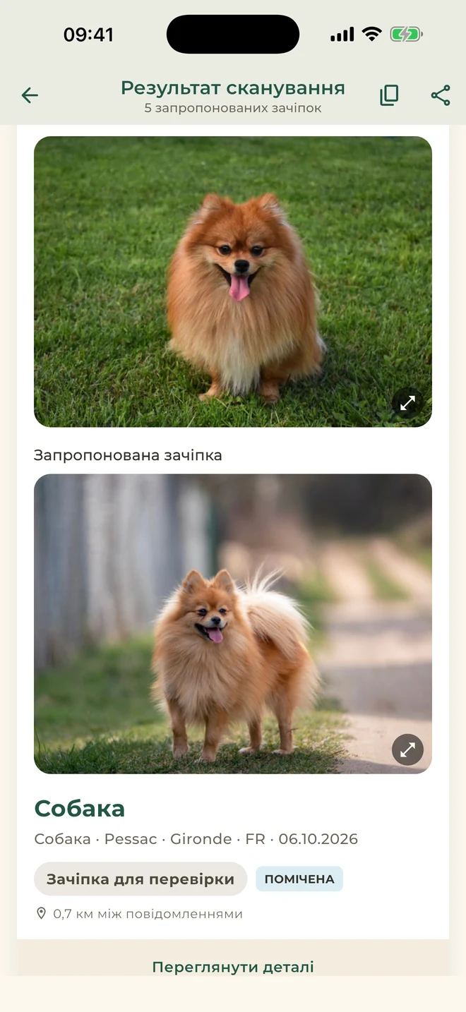 Pet Match: зачіпки для перевірки