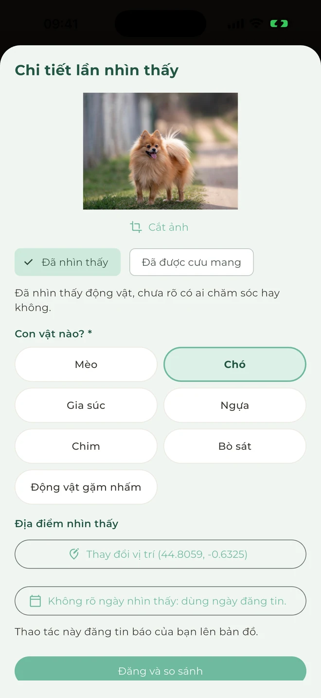 Báo tin nhìn thấy động vật